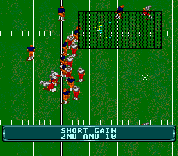 NCAA Football (USA) In game screenshot
